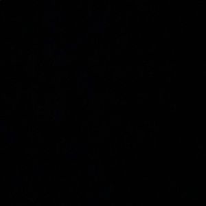 Meet your Posher, Adrian